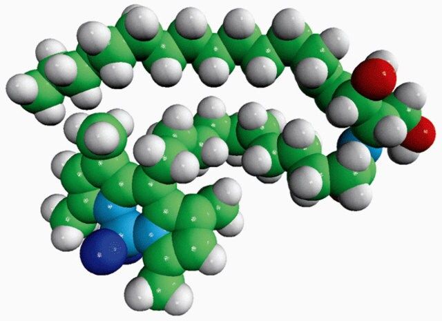 C11 TopFluor<sup>®</sup> Ceramide