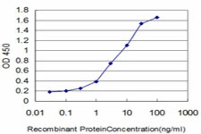 ANTI-FOXQ1 antibody produced in mouse