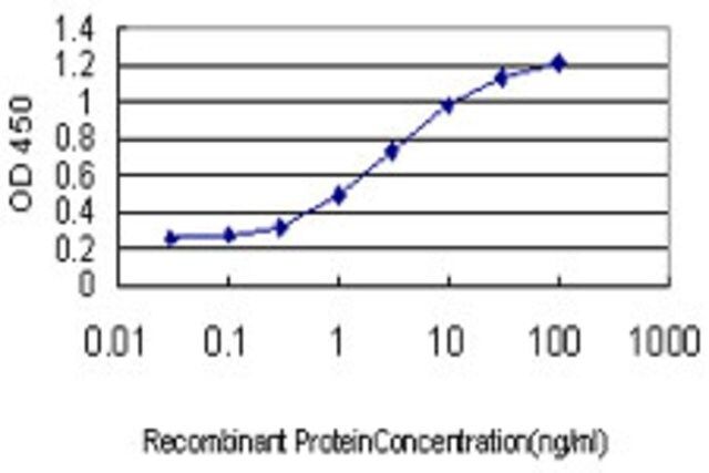 Monoclonal Anti-ZHX1 antibody produced in mouse