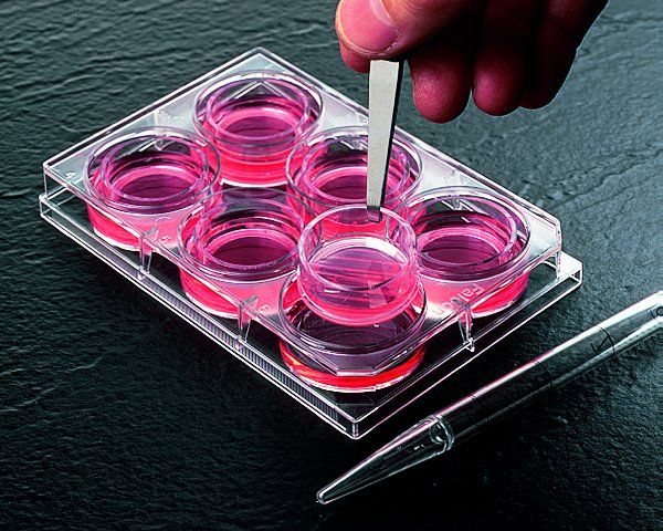 Millipore<sup>®</sup> Millicell<sup>®</sup> cell culture plate inserts