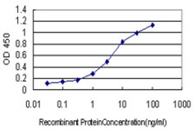 Monoclonal Anti-ABCG1 antibody produced in mouse