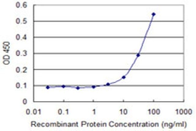 Monoclonal Anti-ARHGDIB antibody produced in mouse