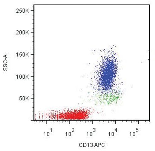 Monoclonal Anti-CD13-APC antibody produced in mouse