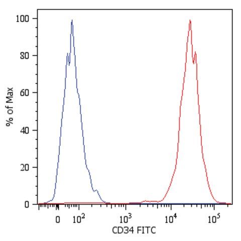 Monoclonal Anti-CD34-FITC antibody produced in mouse