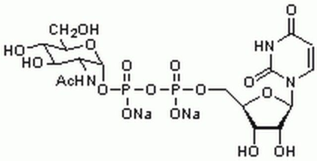 UDP--D-N-Acetylglucosamine, Disodium Salt-CAS 91183-98-1-Calbiochem