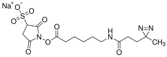 Sulfo-LC-SDA (Sulfo-NHS-LC-Diazirine) (sulfosuccinimidyl 6-(4,4-azipentanamido)hexanoate)