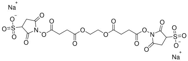 Sulfo-EGS (Ethylene glycol bis(sulfosuccinimidyl succinate))