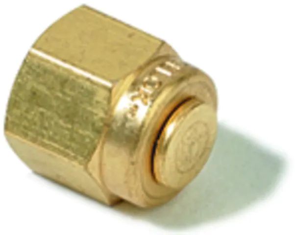 Swagelok<sup>®</sup> Plug