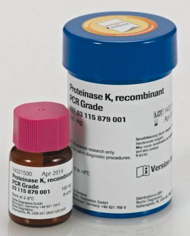 Proteinase K, recombinant, PCR Grade