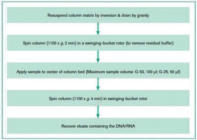 Quick Spin Columns for radiolabeled RNA purification