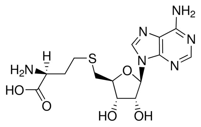 <i>S</i>-Adenosyl-<sc>L</sc>-homocysteine