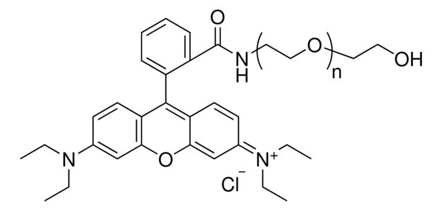 Rhodamine B-PEG2k-OH