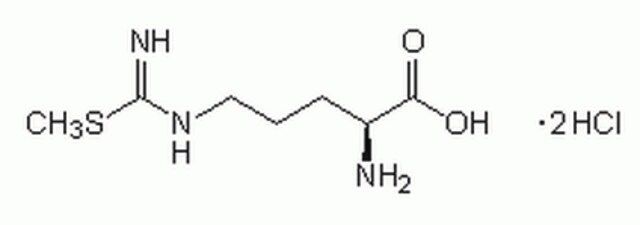 S-Methyl-L-thiocitrulline, Dihydrochloride-CAS 209589-59-3-Calbiochem