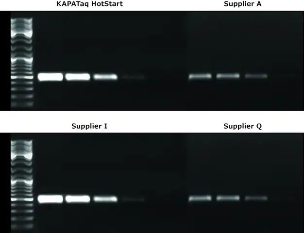 KAPA Taq PCR Kit