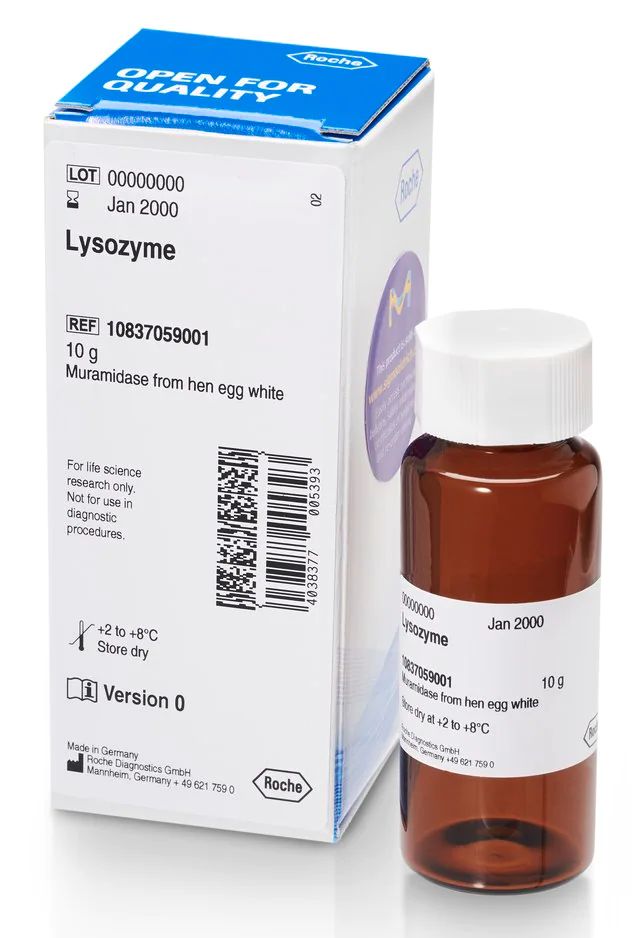 Lysozyme