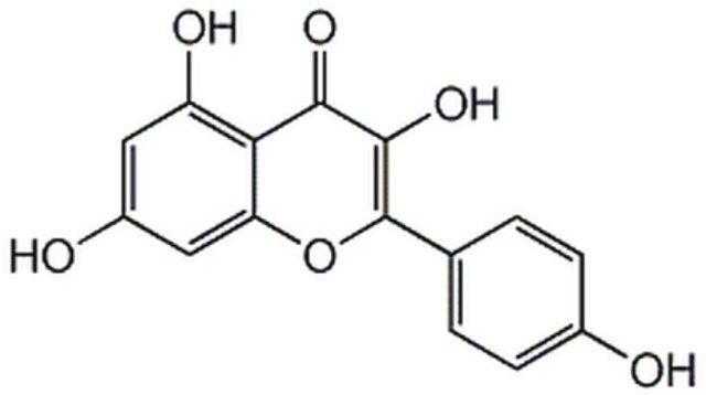 Kaempferol-CAS 520-18-3-Calbiochem