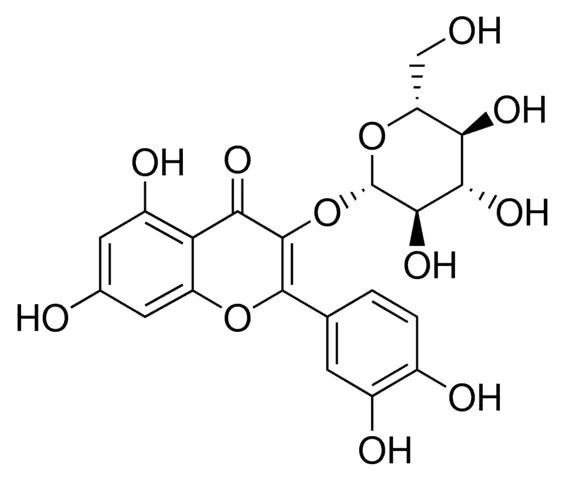 Isoquercitrin