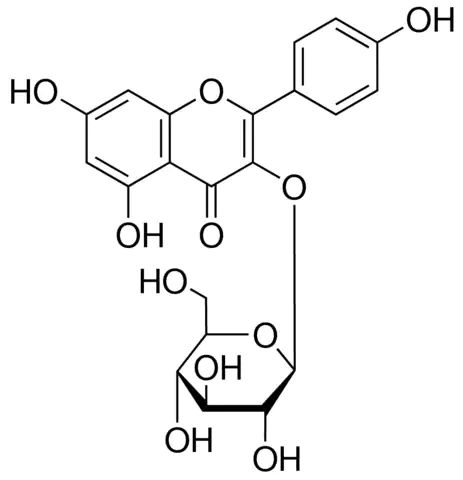 Kaempferol 3--<sc>D</sc>-glucopyranoside