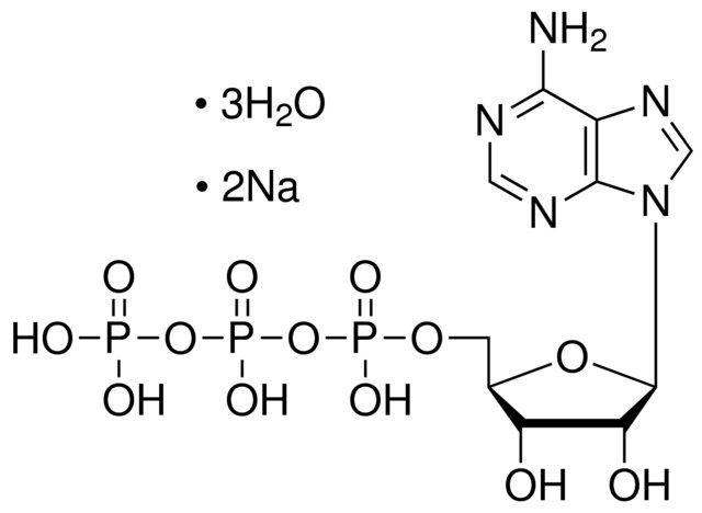 Adenosine 5-triphosphate disodium salt trihydrate