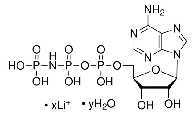 AMP-PNP