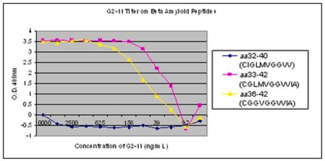 Anti-Amyloid 42 Antibody, clone G2-11