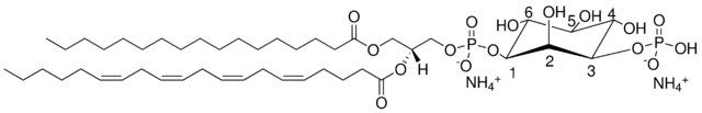 17:0-20:4 PI(3)P
