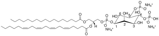 17:0-20:4 PI(4,5)P2