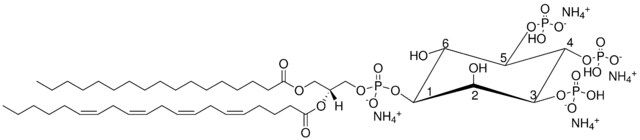 17:0-20:4 PI(3,4,5)P3