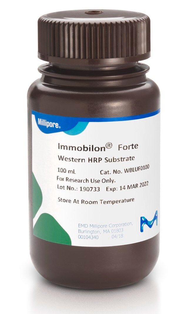 Immobilon Forte Western HRP substrate, 100 mL