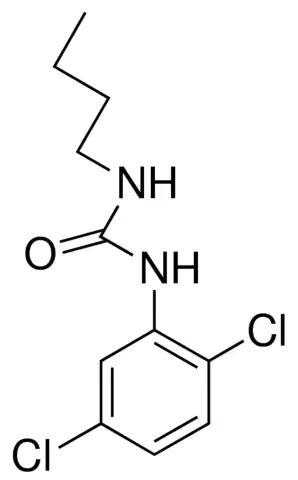 1-BUTYL-3-(2,5-DICHLOROPHENYL)UREA