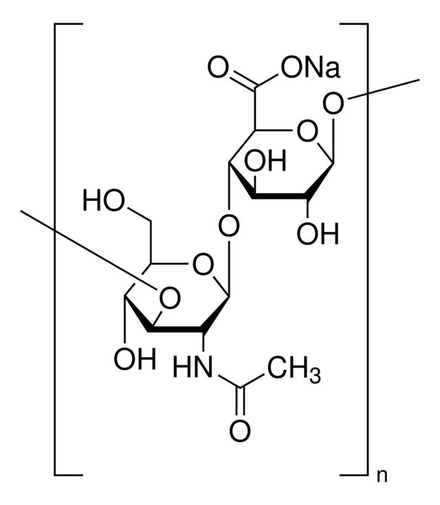 Hyaluronic acid sodium salt from <i>Streptococcus equi</i>