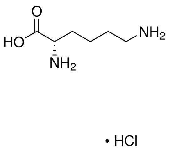 <sc>L</sc>-Lysine hydrochloride