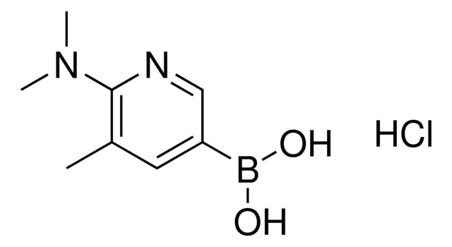 (6-(Dimethylamino)-5-methylpyridin-3-yl)boronic acid hydrochloride