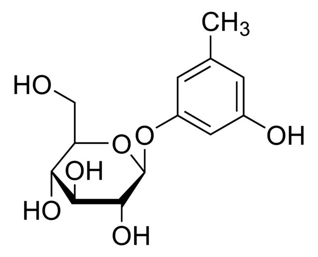 Sakakin