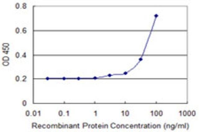 Monoclonal Anti-WSB1 antibody produced in mouse