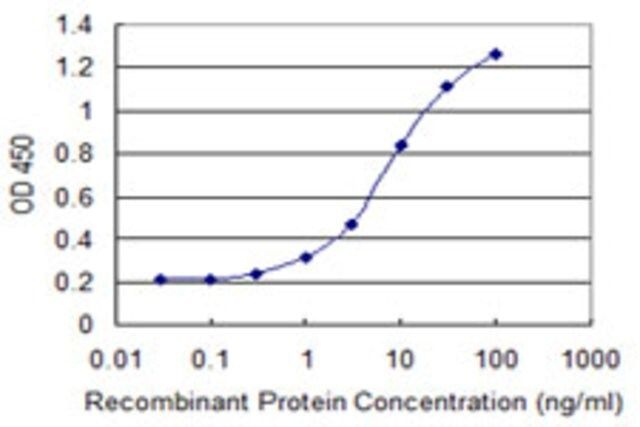 Monoclonal Anti-LITAF antibody produced in mouse