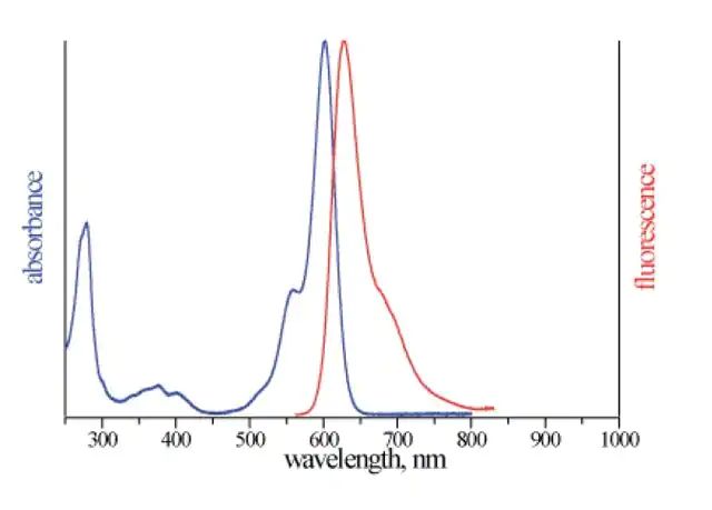 Monoclonal Anti-Lgi1-Atto 594 antibody produced in mouse