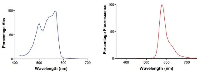 Monoclonal Anti-Lgi1-Rpe antibody produced in mouse