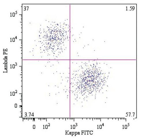 Monoclonal Anti-Lambda light chains-PE antibody produced in mouse