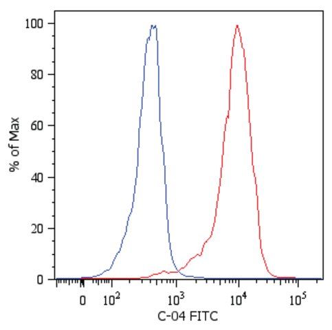 Monoclonal Anti-KRT18-FITC antibody produced in mouse