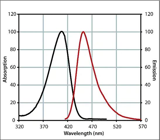 Monoclonal Anti-Fluorescein (FITC) IgG, CF<sup>TM</sup> 405M antibody produced in mouse