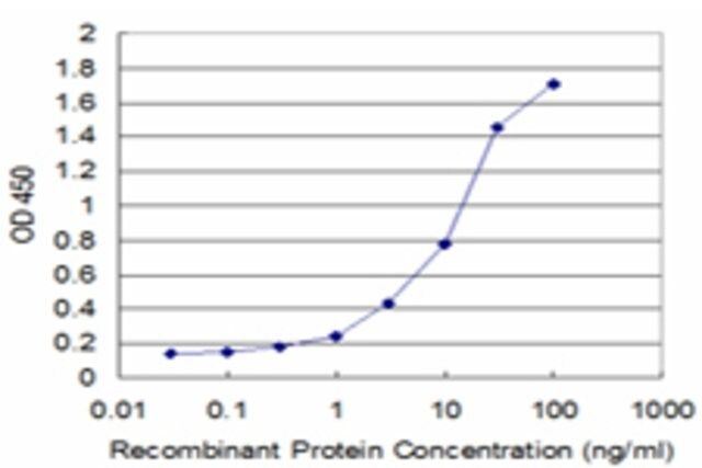 Monoclonal Anti-FTL antibody produced in mouse