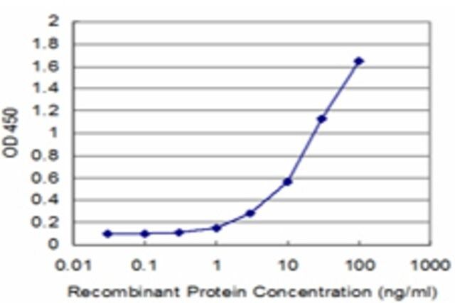 Monoclonal Anti-FTL antibody produced in mouse