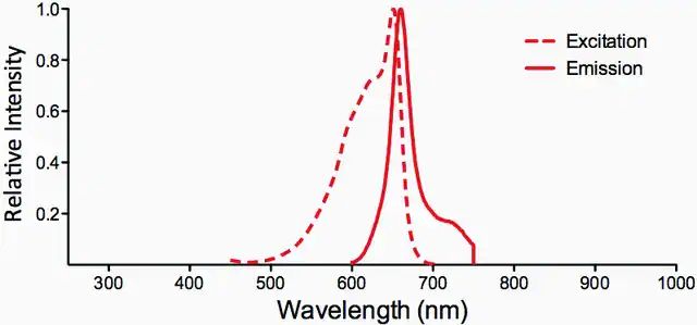 Monoclonal Anti-GABA A Receptor-Allophycocyanin antibody produced in mouse