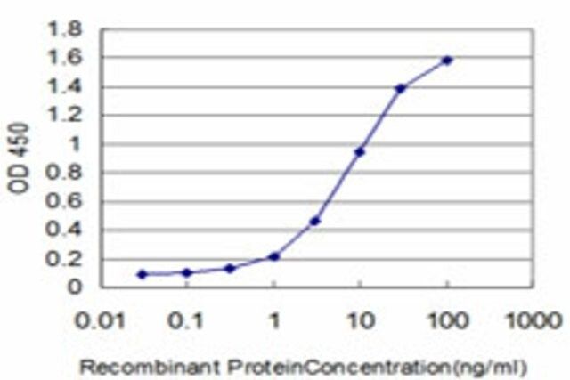 Monoclonal Anti-FOXQ1 antibody produced in mouse