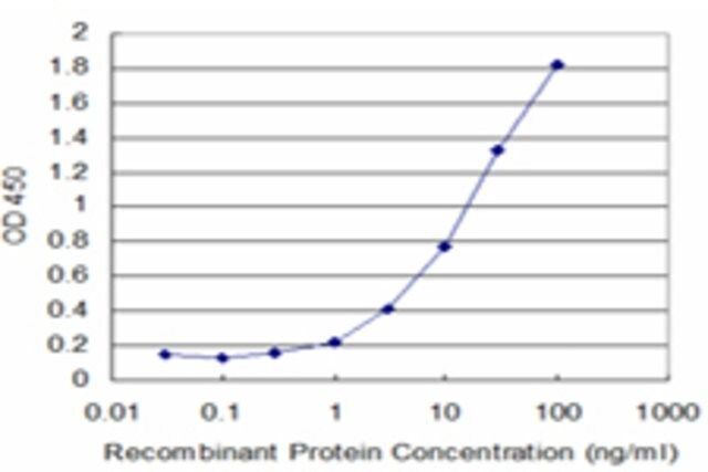 Monoclonal Anti-FTL antibody produced in mouse