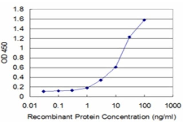 Monoclonal Anti-FTL antibody produced in mouse