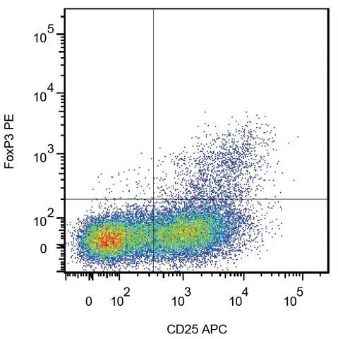 Monoclonal Anti-FOXP3-PE antibody produced in mouse