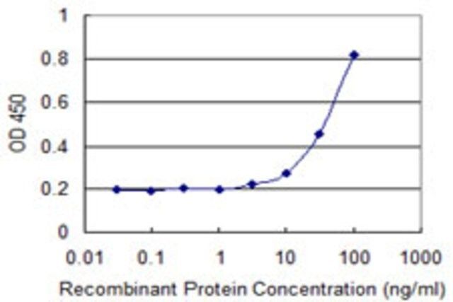 Monoclonal Anti-GAMT, (C-terminal) antibody produced in mouse