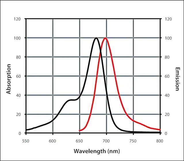 Monoclonal Anti-GFP IgG (H+L), CF<sup>TM</sup> 680 antibody produced in mouse